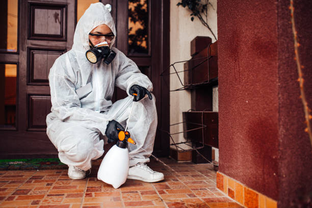 Reliable Wasp Removal contractor in Upper Greenwood Lake, NJ by Show Me Pest Control